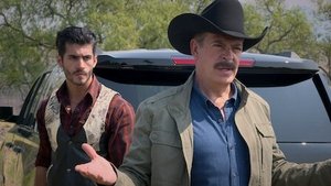 Senora Acero: 3×17