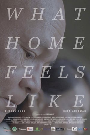 Poster What Home Feels Like 2017