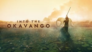 Into the Okavango