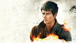 Maze Runner: Prueba de fuego (2015)