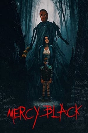 Poster La posesión de Mercy Black 2019
