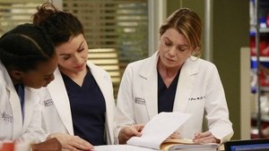 Grey’s Anatomy 12 x Episodio 12