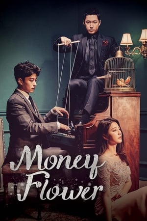 Money Flower Season 1 tv show online