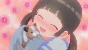 Watari-kun’s ****** Is About to Collapse: 1×7