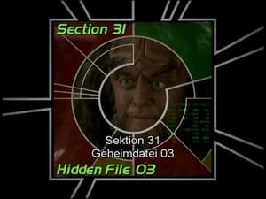 Image Section 31: Hidden File 03 (S07)