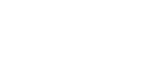 La bala perdida — Logos 12