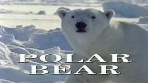 Predators of the Wild: Polar Bear film complet