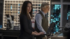 Ant-Man and the Wasp (2018)