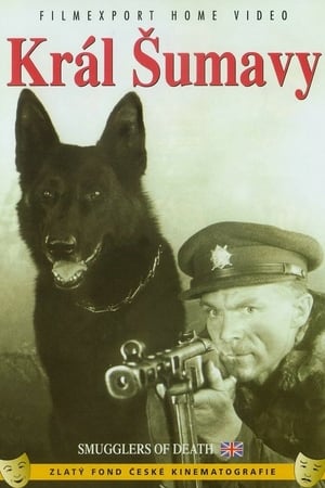 Poster Král Šumavy 1959