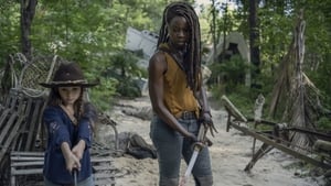 The Walking Dead: 10×8 ( Dublado Online HD 720p )