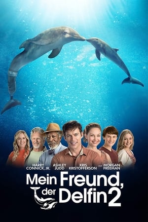 Poster Mein Freund, der Delfin 2 2014