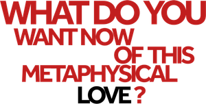 What do You Want Now of This Metaphysical Love?