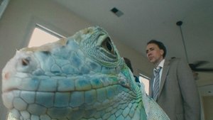 Bad Lieutenant: Port of Call – New Orleans