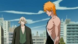 Ver 14x45 - Bleach Bleach - Ichigo's Resolution episodio 45 online