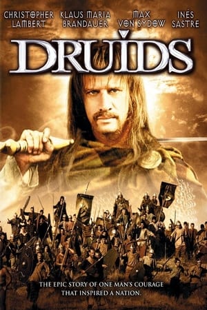 Poster Druids (2001)