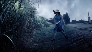 Bên Trong Ngọn Cỏ - In The Tall Grass (2019)