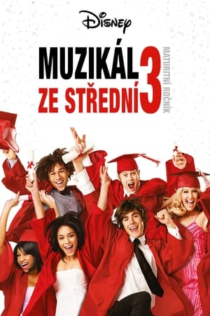 Poster Muzikál ze střední 3: Maturitní ročník 2008