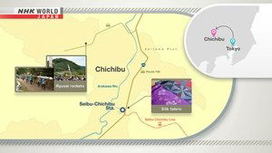 Journeys in Japan: 14×26