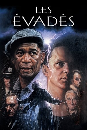 Poster Les Évadés 1994