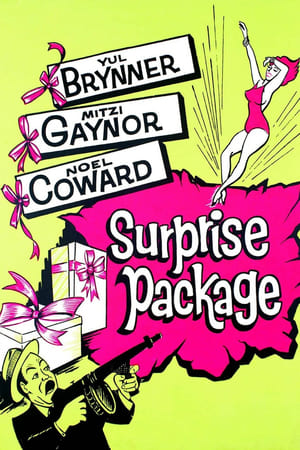 Surprise Package film complet