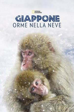 Image Giappone: Orme Nella Neve