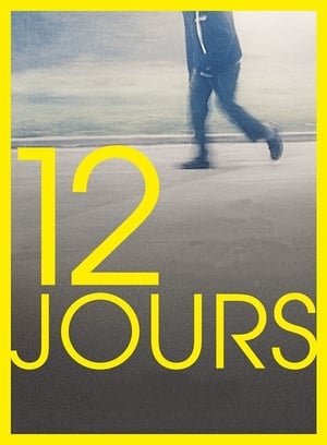 12 Days poster