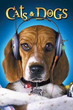 Download Cats & Dogs (2001) Dual Audio {Hindi-English} BluRay 480p [300MB] | 720p [950MB] | 1080p [1.5GB]