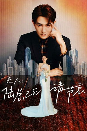 夫人，陆总已死请节哀