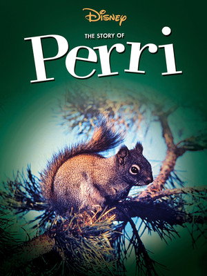 Perri 20