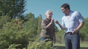 Épisode 4