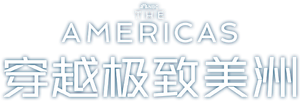 The Americas — Logos 5