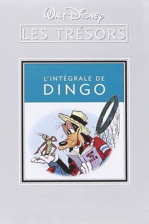 Image L'Intégrale de Dingo