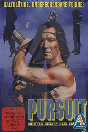 Poster Pursuit (1991)