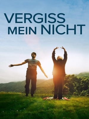 Poster Vergiss mein nicht 2013