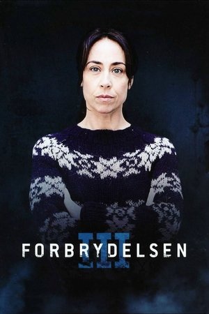 Kommissarin Lund: Staffel 3