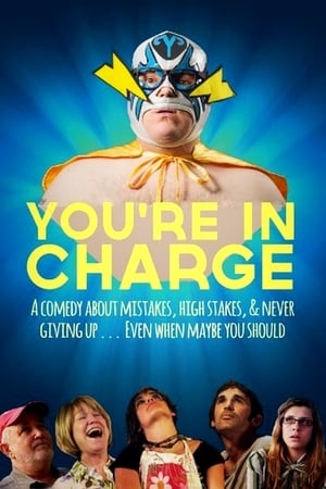 Poster You're in Charge 2013