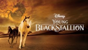 Young Black Stallion (2003)