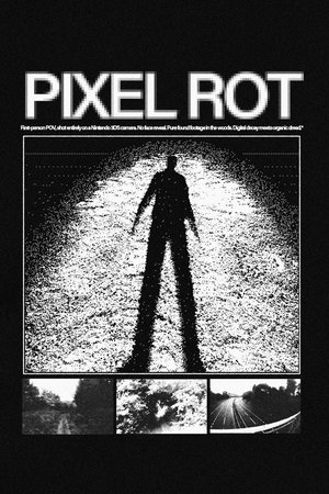 Pixel Rot (2025)