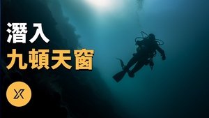 Episode 239 on X调查 Season 1 Episode 239 – October 27, 2023