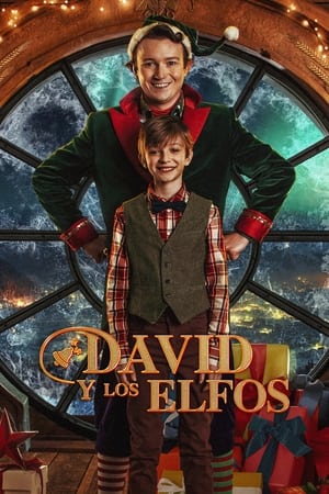 Poster David y los Elfos 2021