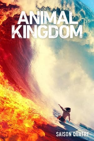 Animal Kingdom: Temporada 4