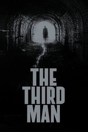 The Third Man 1949 REMASTERED 1080p BRRip H264 AAC-RBG