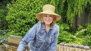Container Gardens