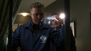 CSI: Crime Scene Investigation: 3×14
