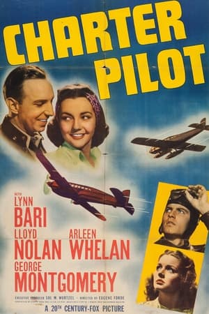 Charter Pilot poster