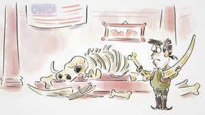 Wer nicht fragt, stirbt dumm!: 2×36