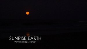 Playa Grande Moonset | StreamHub
