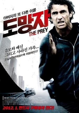 Poster 도망자 2011