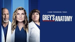 poster Grey's Anatomy - Season 3 Episode 16 : Drowning on Dry Land