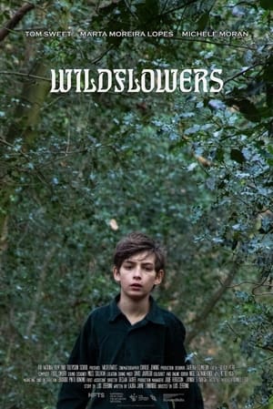 Poster Wildflowers 2020